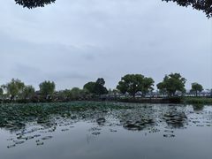 -无锡蠡湖国家湿地公园-蠡园