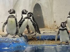 -太平洋海底世界