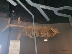 -重庆自然博物馆(新馆)