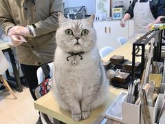 -Oasis绿洲银饰珍珠手作diy(壹方城店)