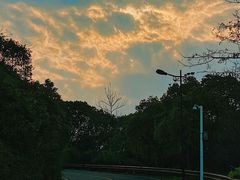 -宝界山林公园
