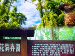-中国科学院西双版纳热带植物园