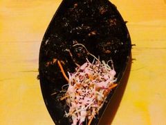-小木屋米酒店总店