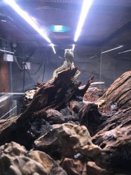 -Zoolung Zoolung动物主题公园(海信广场店)