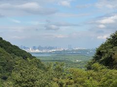 -韬光茶庵