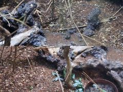 -上海海洋水族馆