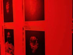 -567·密室逃脱(大良店)