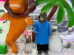 -宁波冰雪大世界(北仑区)