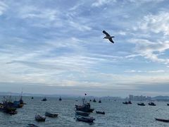 -海源公园