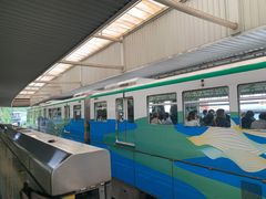 -李子坝梁山鸡(李子坝大鸡哥店)