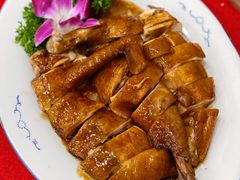 太爷鸡(酱油鸡)-胜记菜馆(文明路)