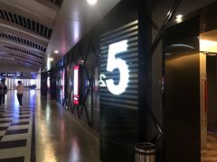 -大世界影城(无锡江南大悦城IMAX激光店)