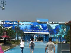 门面-芜湖新华联大白鲸海洋公园