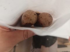 -麦当劳(仙林亚东城得来速店)