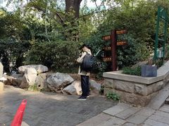 -白沙古井