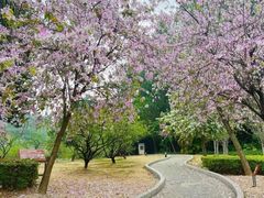 -南国桃园旅游度假区