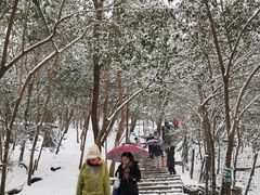 -紫金山山顶公园