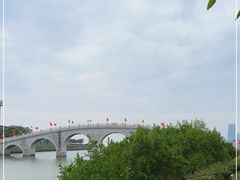 -万绿园