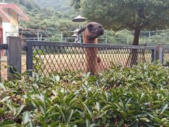-无锡动物园·太湖欢乐园