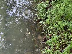 -中国湿地博物馆