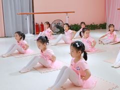 -星舞宝贝少儿舞蹈艺术(天山西路店)