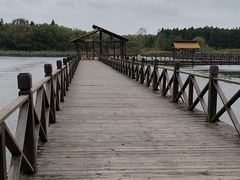 -溱湖国家湿地公园