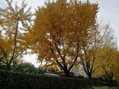 -苏州河梦清园环保主题公园