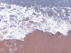 -碣石国家级海洋公园
