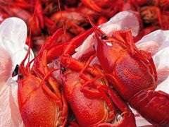 -二钳洞庭虾蟹·江湖菜(鹭岛店)