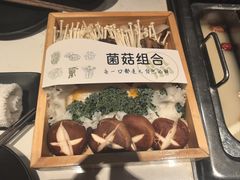 -鼎膳常火锅(华阳店)