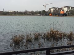 -水月周庄铂尔曼酒店 · 漾全日餐厅