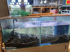 -本炙炭烤·蒲烧活鳗料理店(金沙洲店)