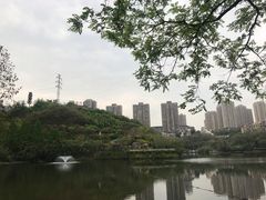 -重庆彩云湖湿地公园