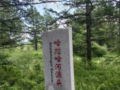 -洮儿河国家湿地公园