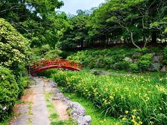-汉拿树木园