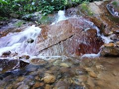-梧桐山风景名胜区