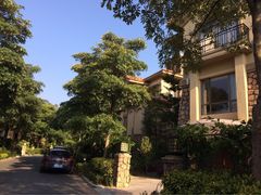 锦秀香江温泉酒店-广州锦绣香江度假别墅