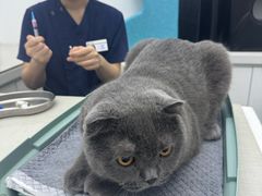 -拜鲁耶动物诊疗中心·宠家动物医院