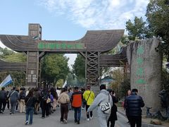 -溱湖国家湿地公园