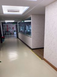 -维倪月子会所(独栋庭院·南海店)