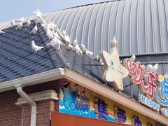 -烟台海昌鲸鲨海洋公园