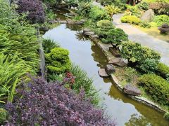 -南山植物园