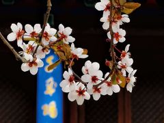 -西安博物院