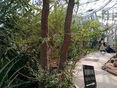 -北京植物园-展览温室
