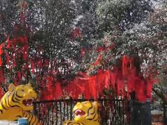 -滴水洞景区
