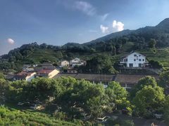 -龙井壹号·茶缘山景宴(龙井村店)