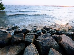 -宝安西湾红树林湿地公园