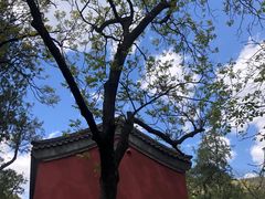 -潭柘寺景区