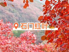 -广州市石门国家森林公园