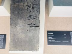 -亳州博物馆